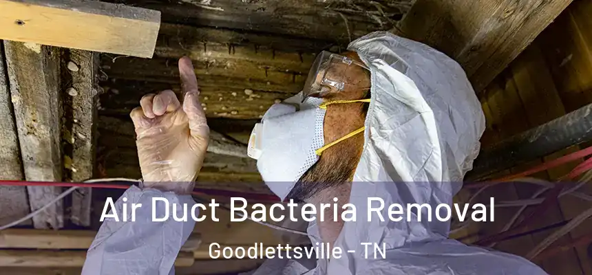  Air Duct Bacteria Removal Goodlettsville - TN