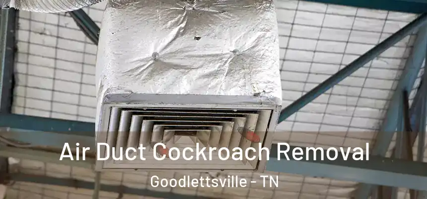  Air Duct Cockroach Removal Goodlettsville - TN