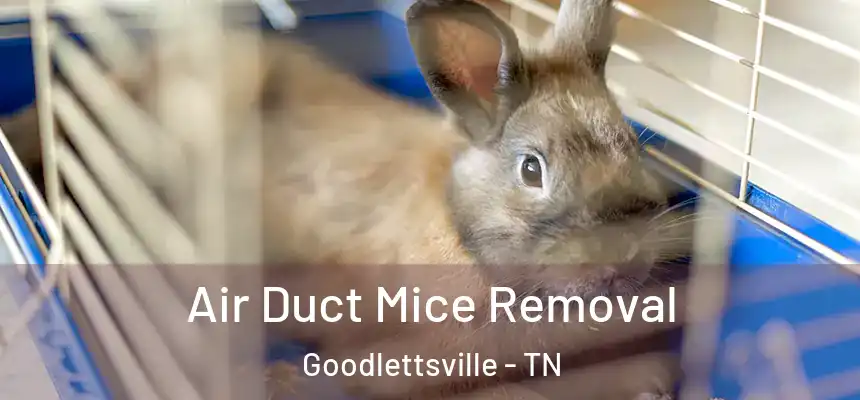  Air Duct Mice Removal Goodlettsville - TN