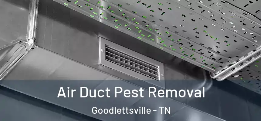  Air Duct Pest Removal Goodlettsville - TN