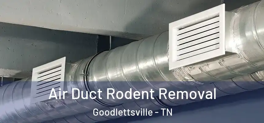  Air Duct Rodent Removal Goodlettsville - TN