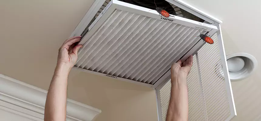 Our Insect Removal from Air Ducts Services in Goodlettsville, TN