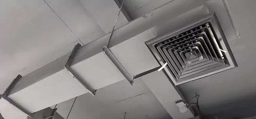 Our Pest Removal From Ducts Services in Goodlettsville, TN