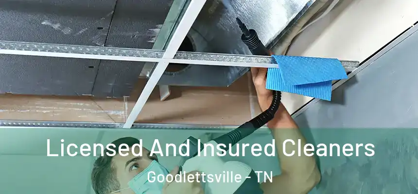  Licensed And Insured Cleaners Goodlettsville - TN