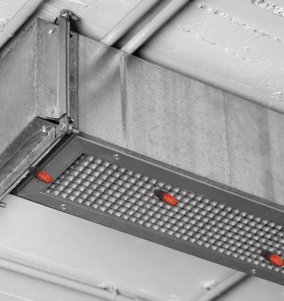 About Air Duct Cockroach Removal in Goodlettsville, TN