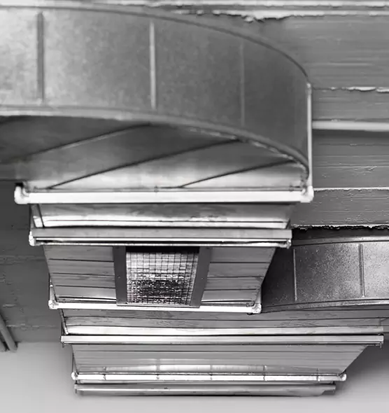 Professional Air Duct Pet Hair Removal in Goodlettsville, TN