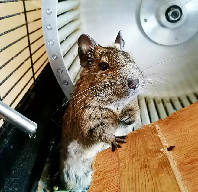 Why Homeowners & Businesses Trust Us Goodlettsville, TN?